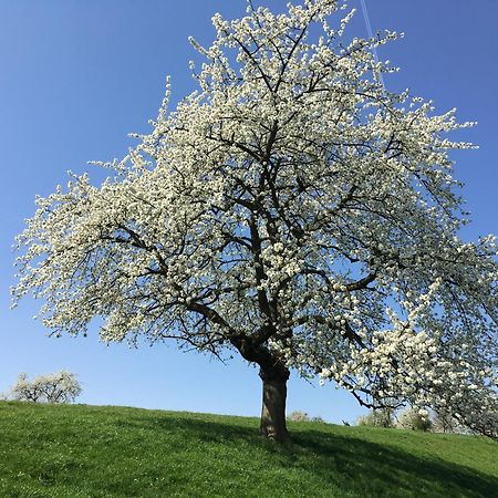 De Notelaar Kortessem المظهر الخارجي الصورة
